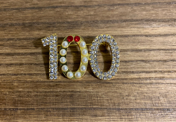 100 pin